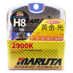 H8 Bulb