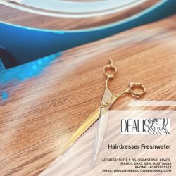 Hairdresser Freshwater – Dealis Hair Boutique