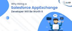 Hire Best Salesforce AppExchange Developer in USA Today