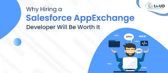 Hire Best Salesforce AppExchange Developer in USA Today
