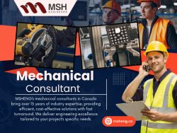 Mechanical Consultant