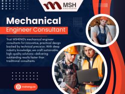 Mechanical Engineer Consultant