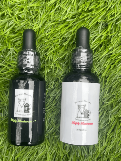 Best Mushroom Supplements For Dogs With Cancer