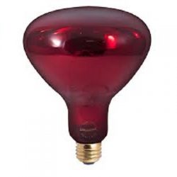 Red Infrared Lamp
