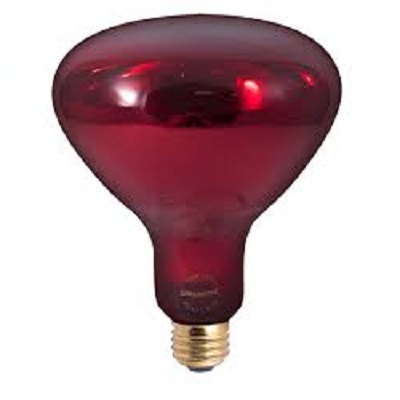 Red Infrared Lamp