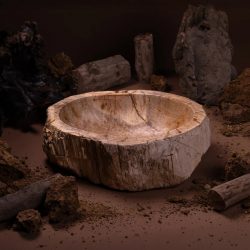 Stone Art Brings Ancient Forests Into Contemporary Homes