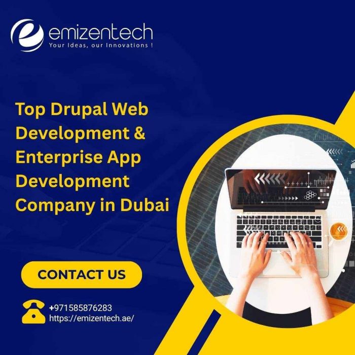 Top Drupal Web Development & Enterprise App Development Company in Dubai | EmizenTech