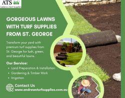 turf supplies blue mountains