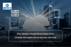 Managed Cloud Security Services for Boston IT Firms