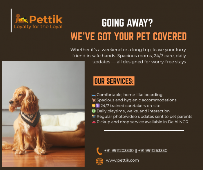 Proffesional Pet Boarding Service Delhi