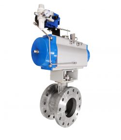 rotary plug valve