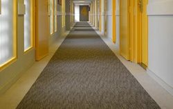 Benefits of Carpet Backing Latex