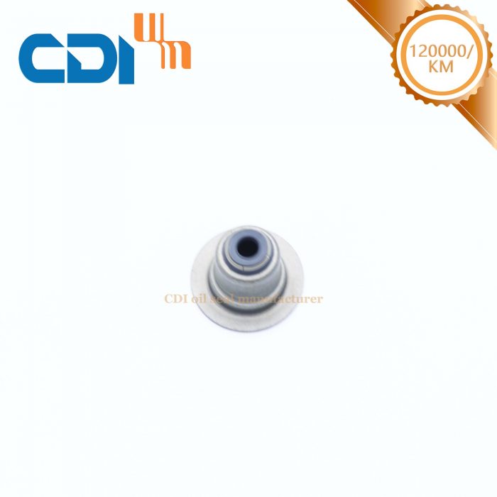 Diaphragm Seals