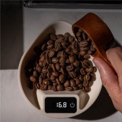 2-in-1 Coffee Bean Tray & Mini Espresso Kitchen Scale