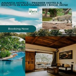 Ananta Hotels – Premier Hotels & Resorts in Ranthambore | Book Now