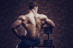 Best Sarms For Muscle Growth: Most Potent SARMs for Quick Muscle Mass