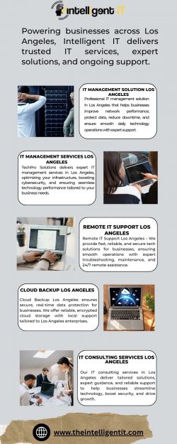 Remote IT Support in Los Angeles for Fast Issue Resolution