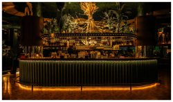Congo Opens in Gurgaon: A Wild New Jungle-Themed Restaurant & Bar