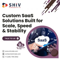 Creative SaaS Development Services by Shiv Technolabs