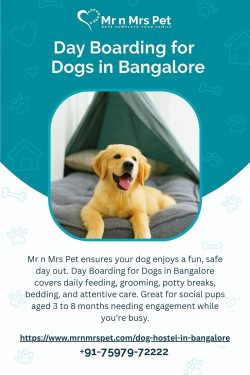 Day Boarding for Dogs in Bangalore