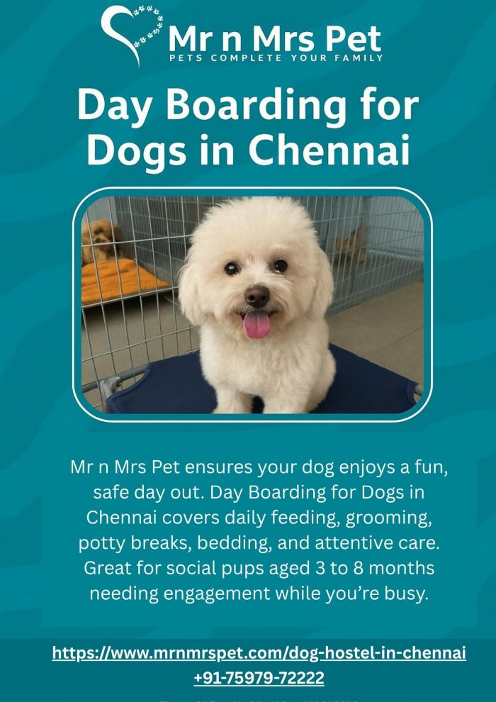 Day Boarding for Dogs in Chennai