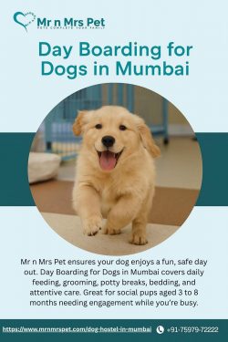 Day Boarding for Dogs in Mumbai