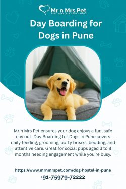 Day Boarding for Dogs in Pune