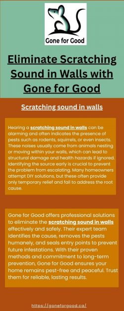 Eliminate Scratching Sound in Walls with Gone for Good