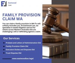 family provision claim wa