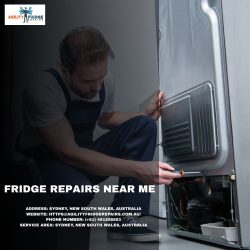 Fridge Repairs Near- Agility Fridge Repair