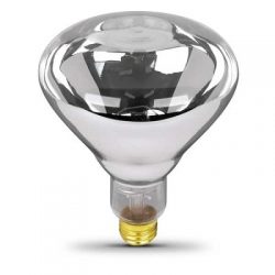 Glass Heat Lamp