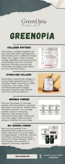 Pure Moringa Powder for Natural Wellness