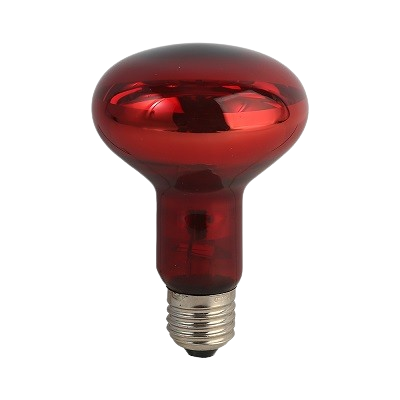 Heat Lamp For