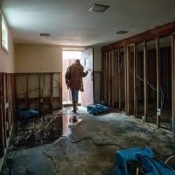Why Professional Help is Essential for Sewer Backup Cleanup