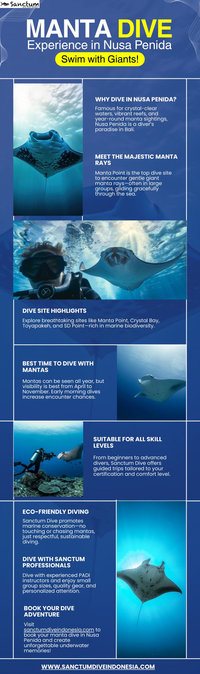 Manta Dive Experience in Nusa Penida – Swim with Giants!