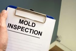 Mold Inspection Dallas