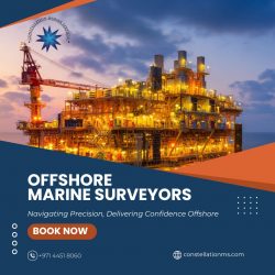 Expert Offshore Marine Surveyors Inspection | Constellation MS