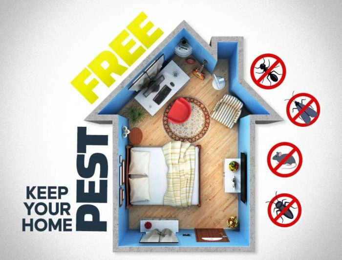 Pest Control Services by Owl Pest Control Ltd