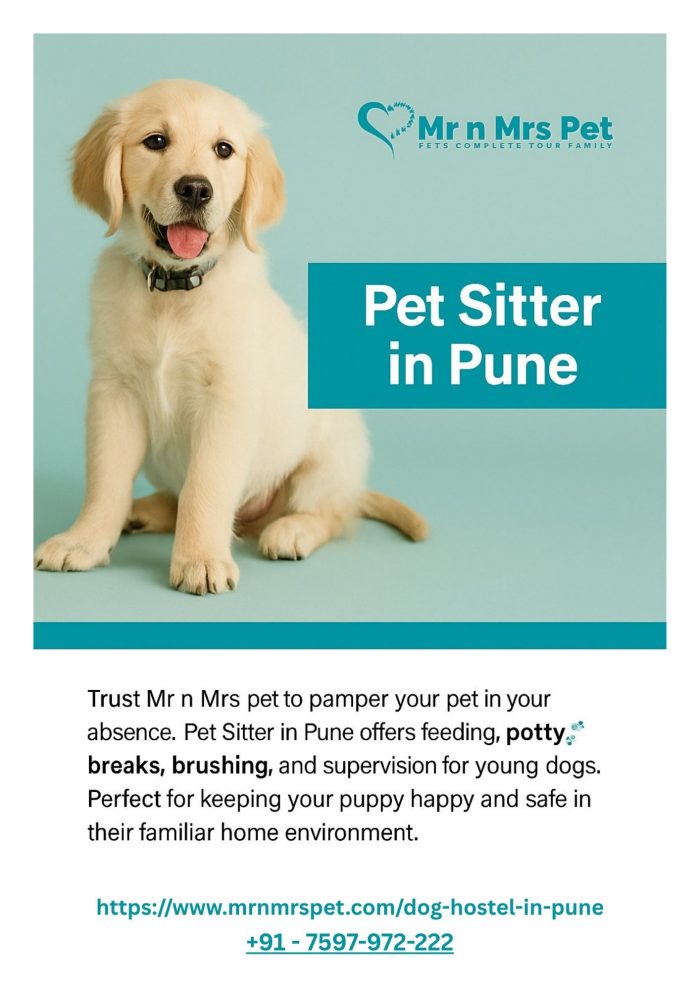 Pet Sitter in Pune