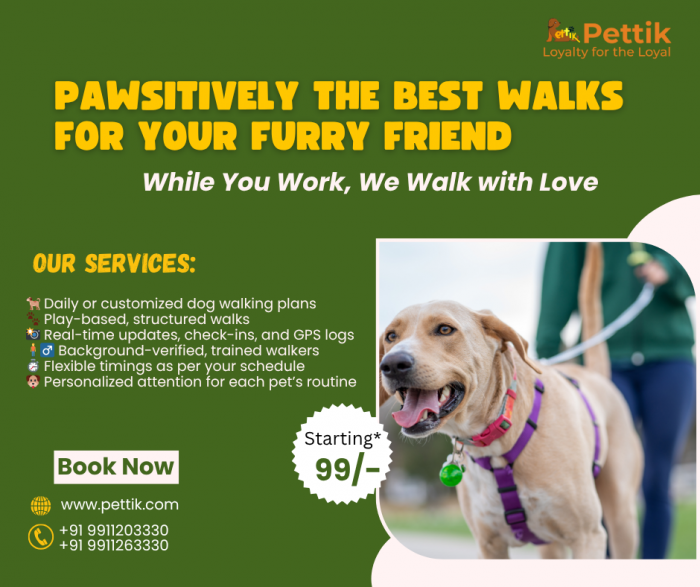 Professional Pet Walking Services in Delhi