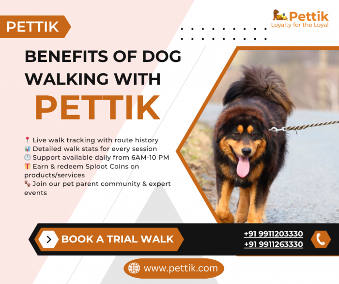 Professional Pet Walking Services in Delhi