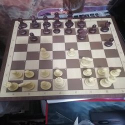 Shop Premium Chess Boards for All Levels