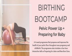 Find the Best Pregnancy Exercise Class Near You at BStudios