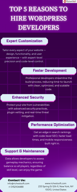 Top 5 Reasons to Hire WordPress Developers