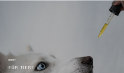 Root Für Tiere