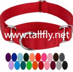 China Dog Collar Manufacturer Offers Durable Collars in Multiple Color Options