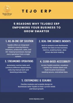 5 Reasons Why TejoBiz ERP Empowers Your Business to Grow Smarter