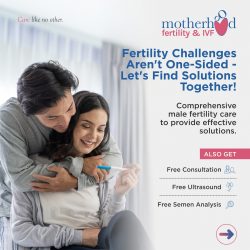 Top IVF Services at the Best IVF Centre In Chandigarh | Motherhood Fertility & IVF Center