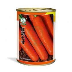 carrot seeds bulk