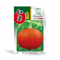 China Pumpkin Seeds Manufacturers